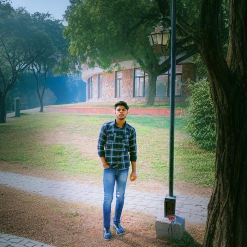Salman Ansari