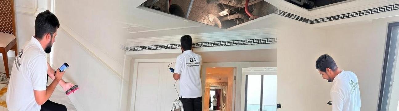 Property  Inspection